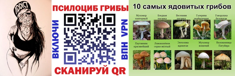 MEGA как войти  Полярные Зори  Псилоцибиновые грибы ЛСД 